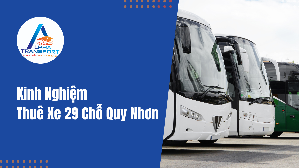 thue-xe-29-cho-quy-nhon-02